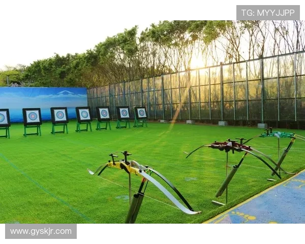 射箭训练中的心得体会与技巧总结探索如何提高精准度与稳定性